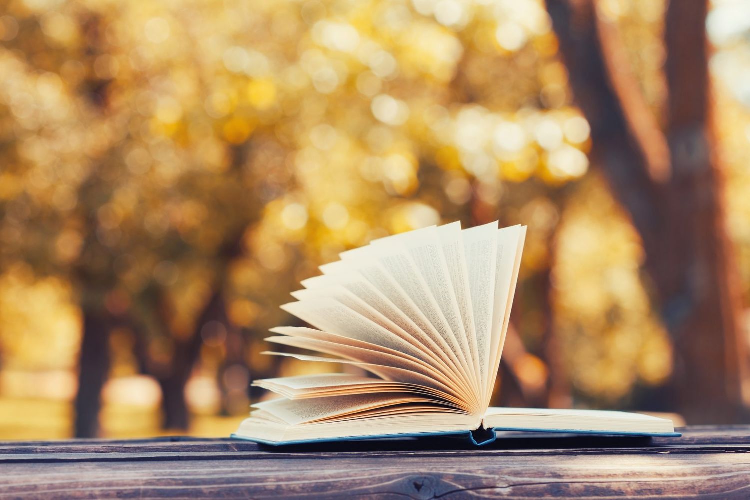 Public & Nonprofit Financial Management (8th Edition) – Full Guide